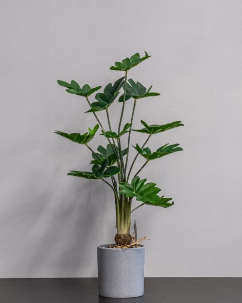 Alternative view of Konstgjord Philodendron krukväxt - 60 cm Höjd