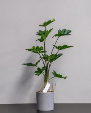 Konstgjord Philodendron krukväxt
