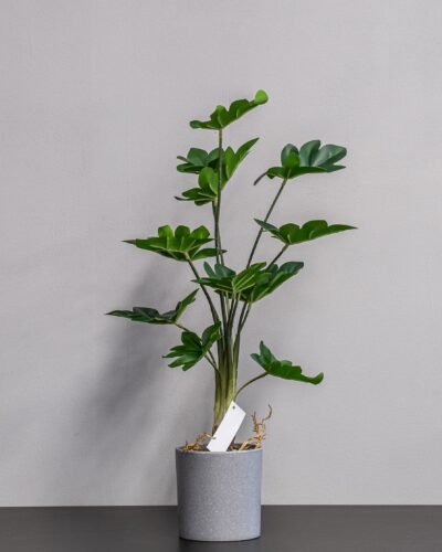Konstgjord Philodendron krukväxt
