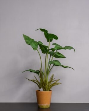 Konstgjord Alocasia cucullata krukväxt – 75 cm 6 Alocasia cucullata krukväxt