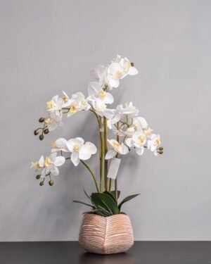 Konstgjord Orkidé 40 * 60 cm – Vita Blommor Konstgjorda vaxter 60