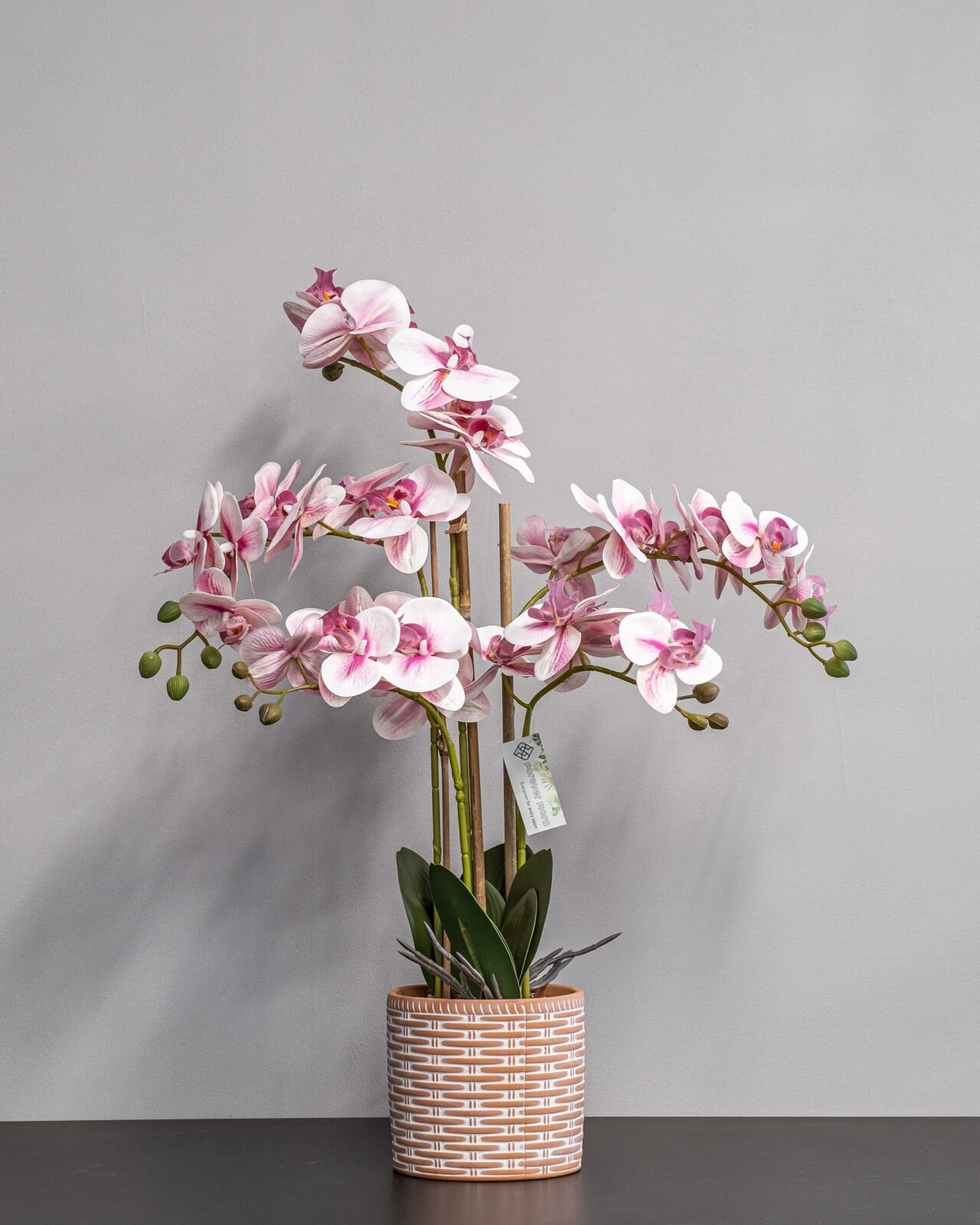 Forever Flora