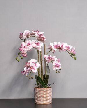 Konstgjord Orkidé 40 * 60 cm – Rosa Blommor Konstgjorda vaxter 64
