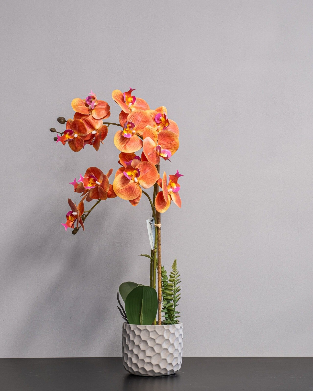 Forever Flora