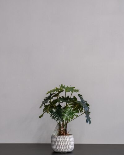 Konstgjord Filodendron