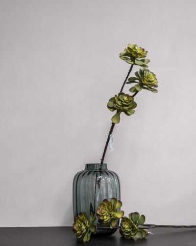 Forever Flora