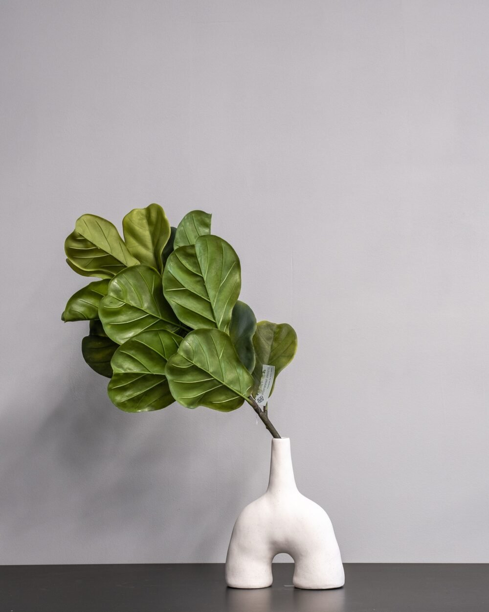 Konstväxt Fiolfikus bukett