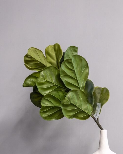 Konstväxt Fiolfikus bukett