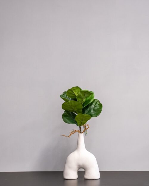 Konstväxt Fiolfikus bukett