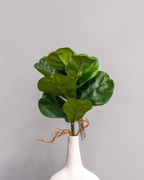 Konstväxt Fiolfikus bukett