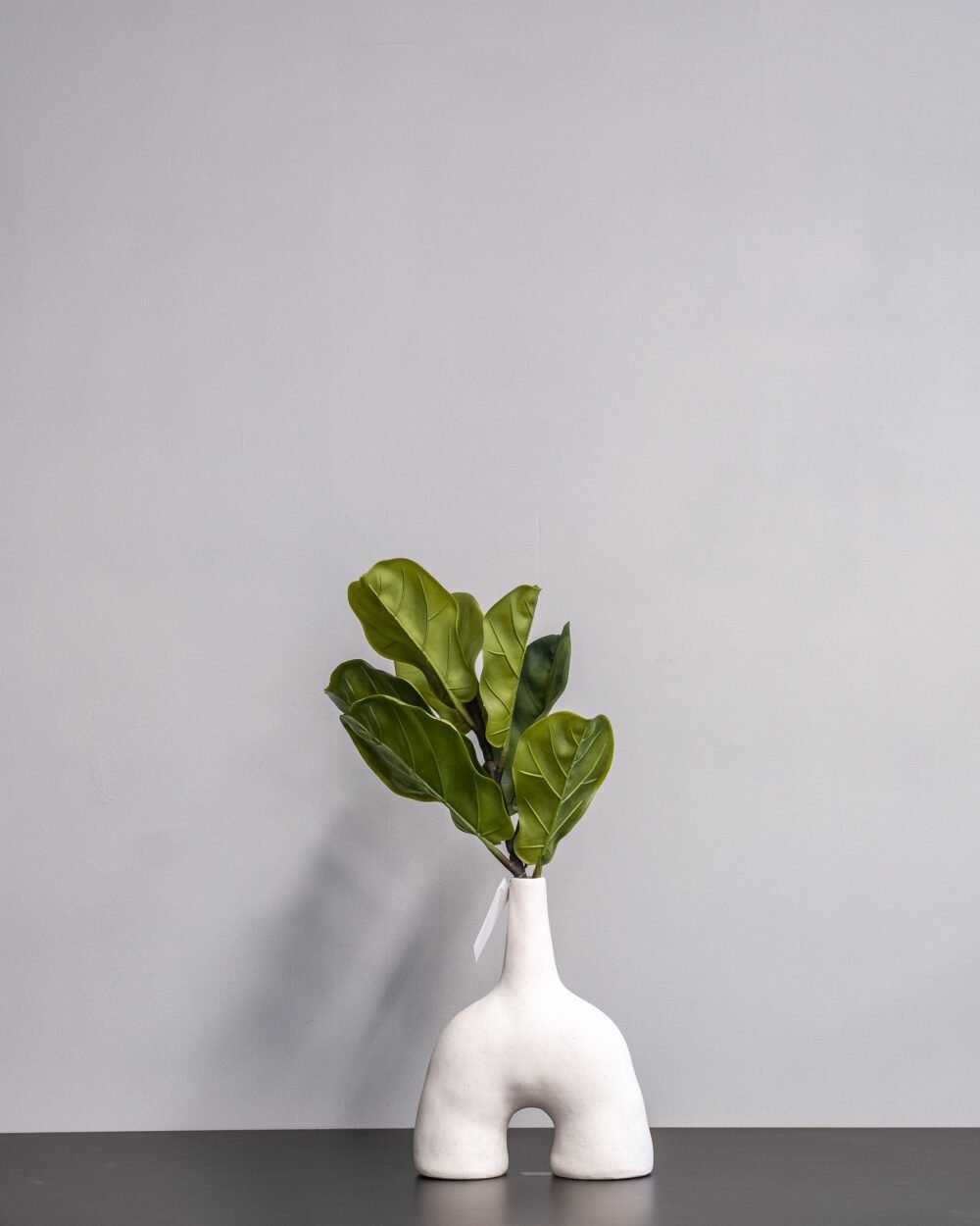 Konstväxt Fiolfikus bukett