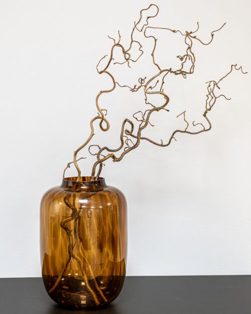 Alternative view of Ormhassel - Coryllis - 5st - Torkade Blommor