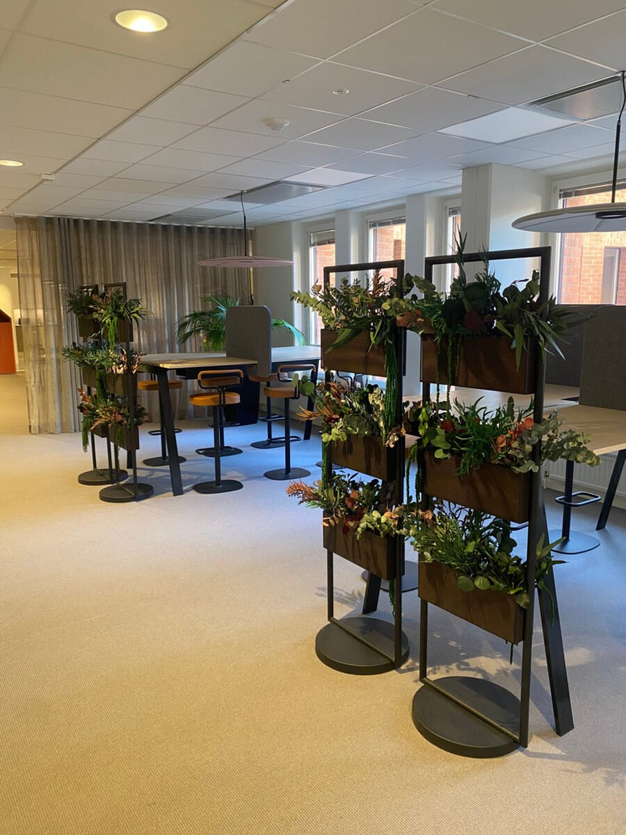 Underhållsfria Växter för Kontor