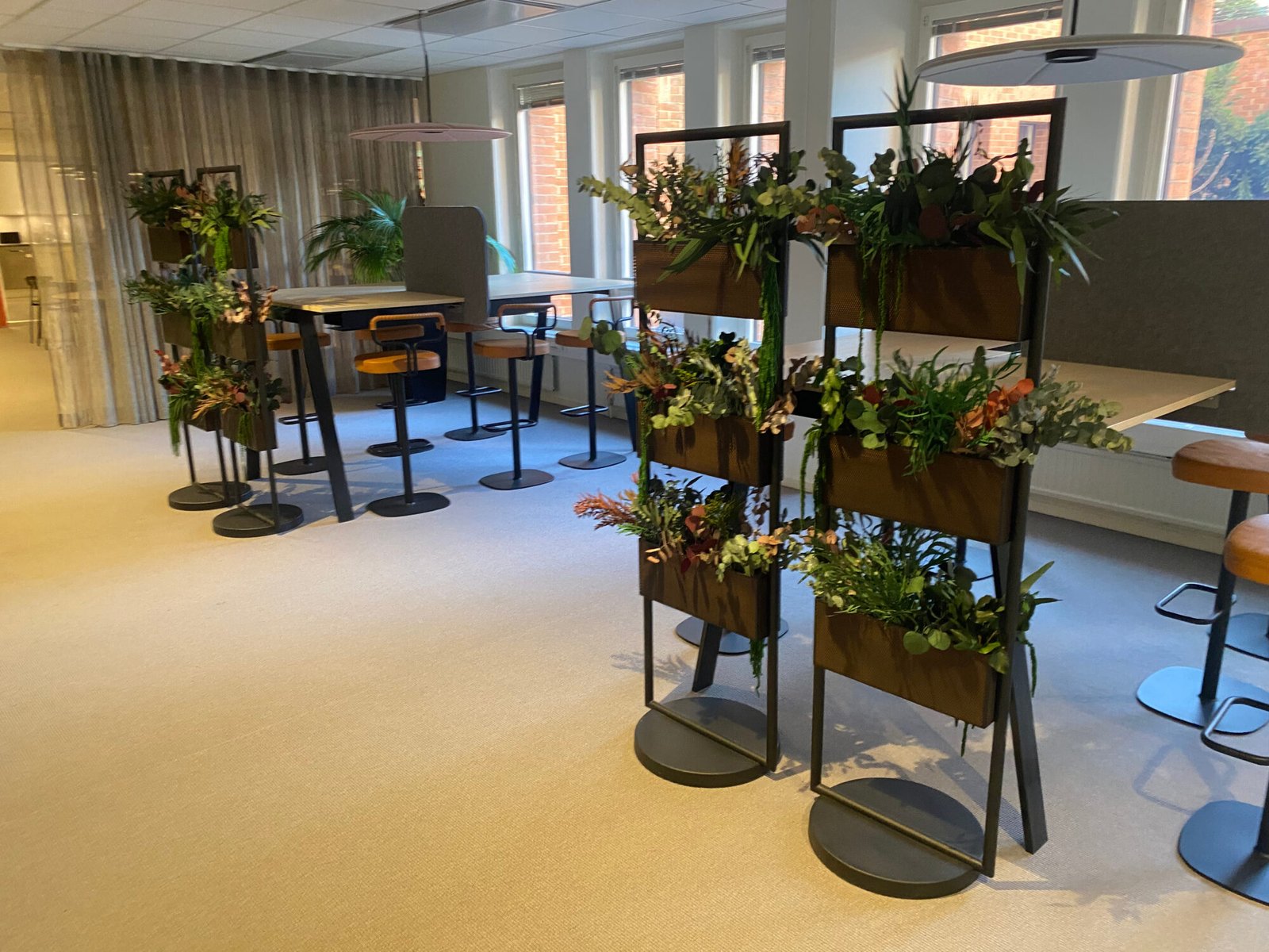 underhållsfria krukväxter