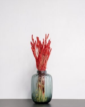 Vete - Torkade Blommor Vete rod 2
