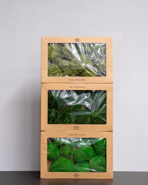 Alternative view of Bollmossa – Konserverade mossa