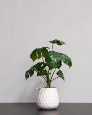 konstgjord monstera