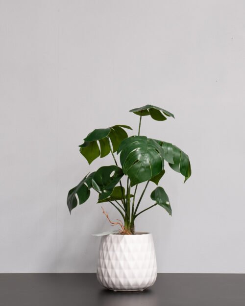 Alternative view of Konstgjord Monstera Krukväxt  med Keramikkruka - 45 cm Höjd