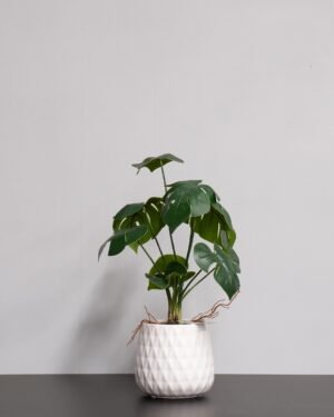Konstgjord Monstera Krukväxt med Keramikkruka - 45 cm Höjd monstera 6