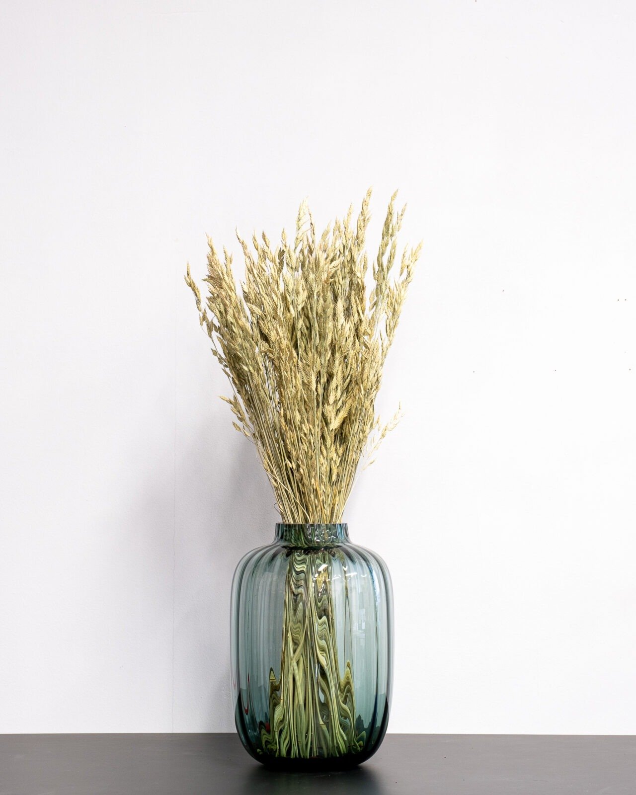 Råglosta (Bromus secalinus)