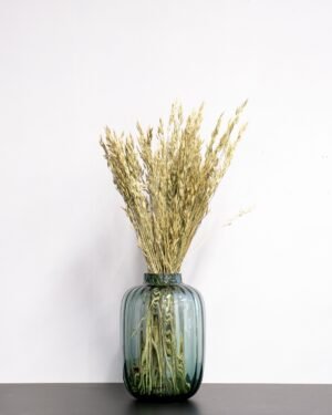 Råglosta (Bromus secalinus) – Torkad, Naturfärgad, 60 cm raglosta Bromus secalinus raglosta Bromus secalinus 2