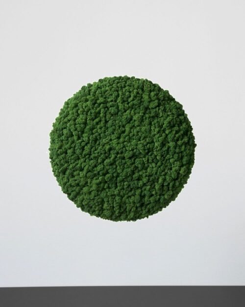 Alternative view of Mosspanel Cirkel - Ljuddämpande Väggpanel med Äkta Renlav