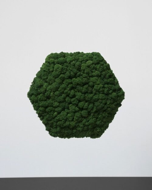 Alternative view of Mosspanel Sexkantig - Ljuddämpande Väggpanel med Äkta Renlav