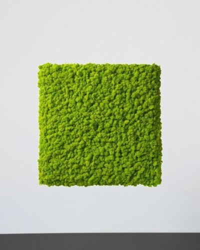 Alternative view of Mosspanel Kvadrat - Ljuddämpande Väggpanel med Äkta Renlav