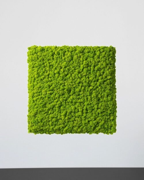 Alternative view of Mosspanel Kvadrat - Ljuddämpande Väggpanel med Äkta Renlav