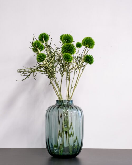 Konserverade Bolltistel Gigant 25 Forever Flora