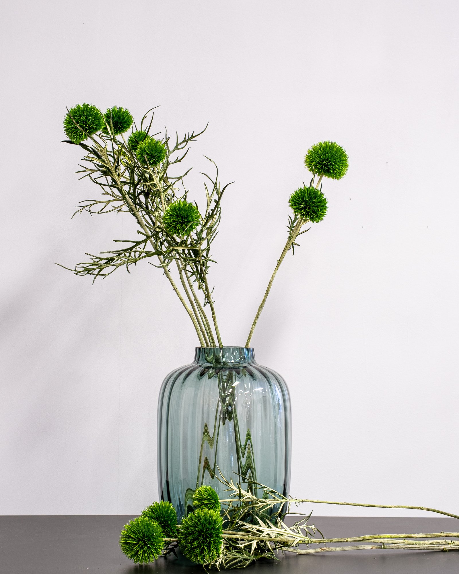 Konserverade Bolltistel Gigant 11 Konserverade Bolltistel Gigant - Bild 11