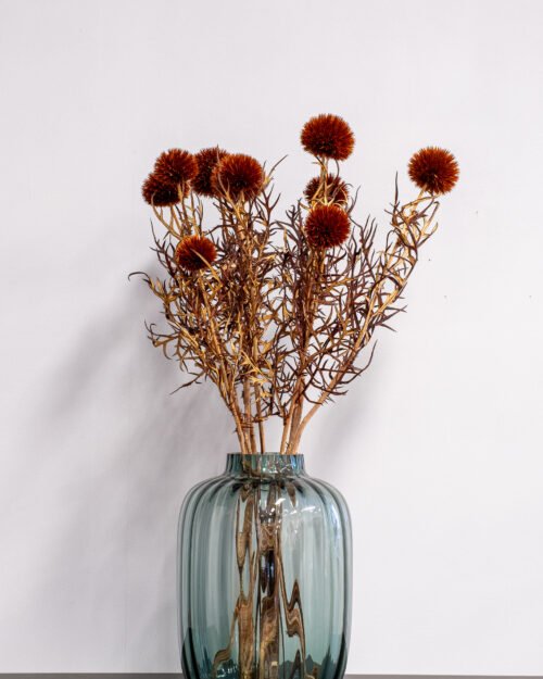 Konserverade Bolltistel Gigant 29 Forever Flora