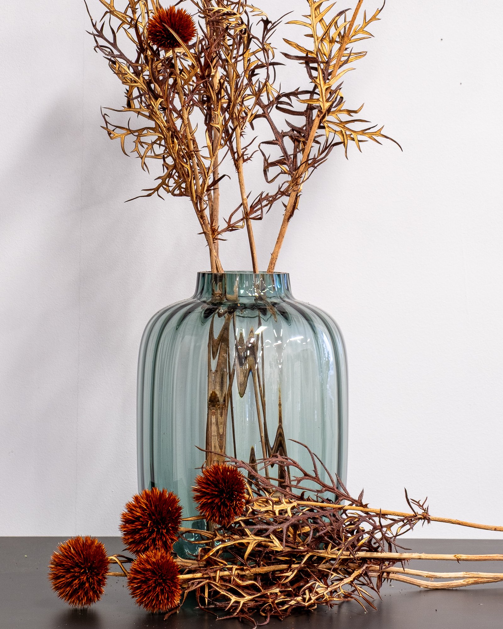 Konserverade Bolltistel Gigant 14 Konserverade Bolltistel Gigant - Bild 14