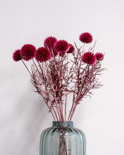 Konserverade Bolltistel Gigant 32 Forever Flora