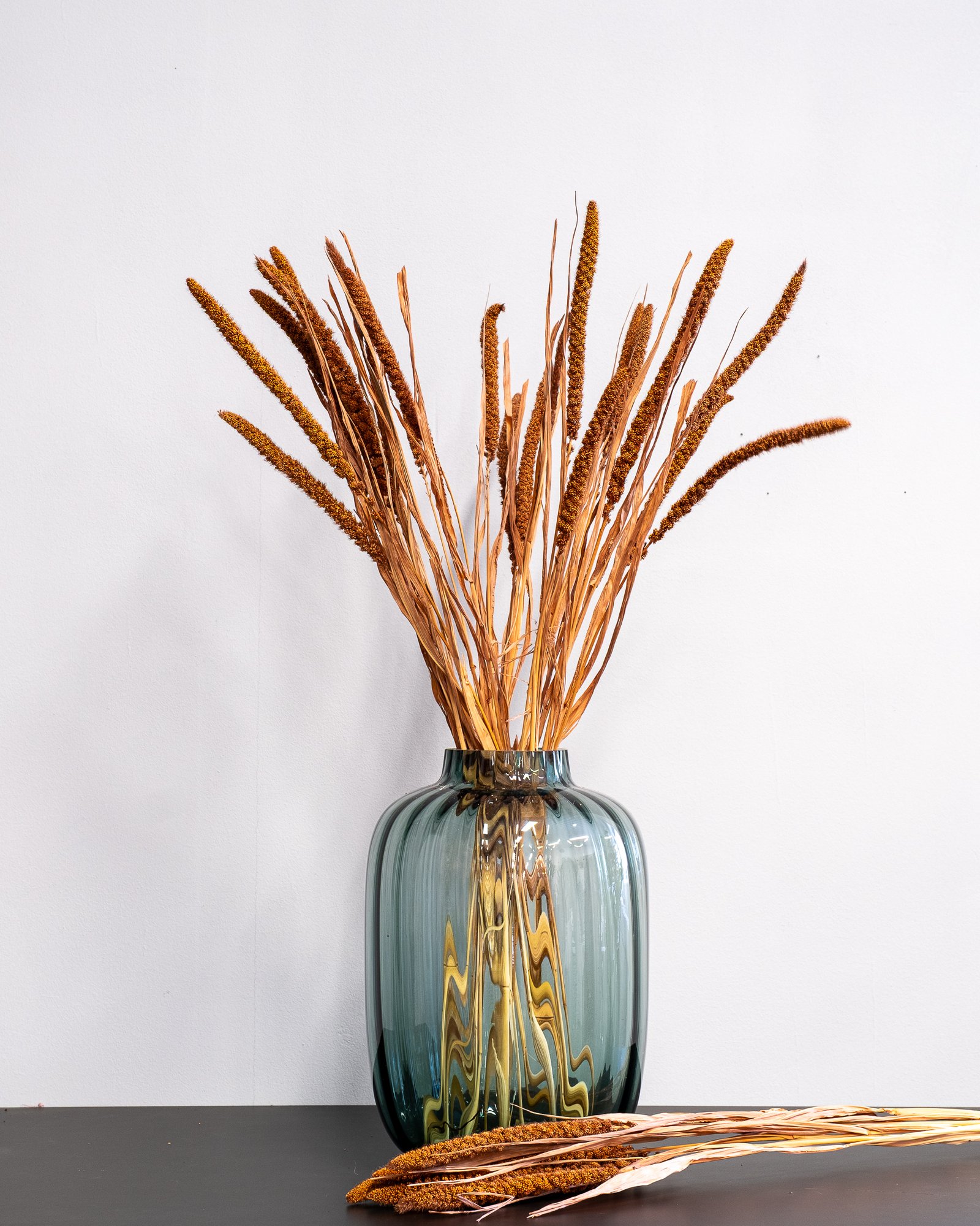 Durrasläktet, Sorghum Torkade Blommor 6 Durrasläktet, Sorghum Torkade Blommor - Bild 6