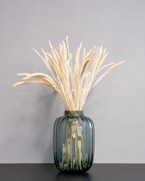 Durrasläktet, Sorghum Torkade Blommor 17 Forever Flora