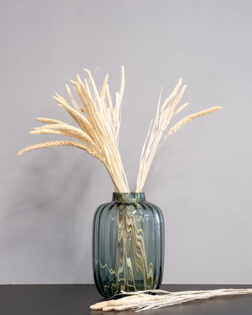 Durrasläktet, Sorghum Torkade Blommor 23 Forever Flora