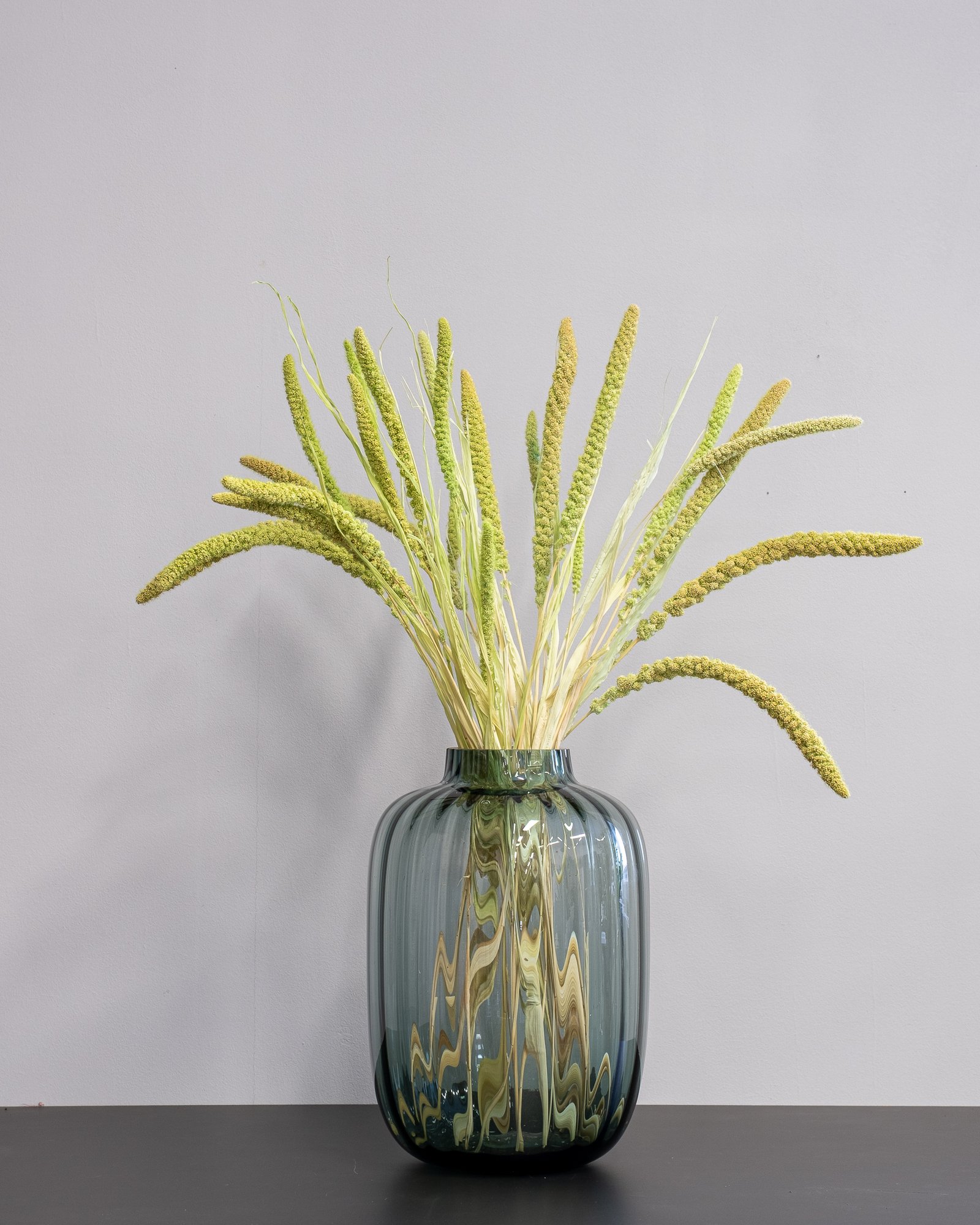 Durrasläktet, Sorghum Torkade Blommor 9 Durrasläktet, Sorghum Torkade Blommor - Bild 9