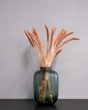 Durrasläktet, Sorghum Torkade Blommor Durraslaktet Sorghum 2