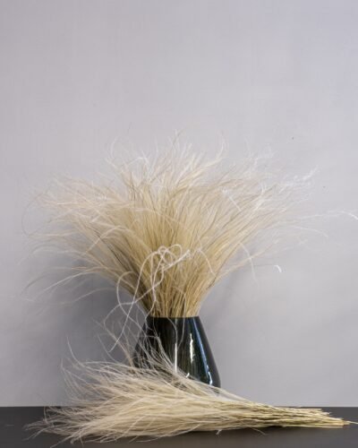Alternative view of Fjädergräs Super - (Stipa Pennata) Naturell - Torkade Blommor