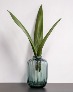 Palmgräs