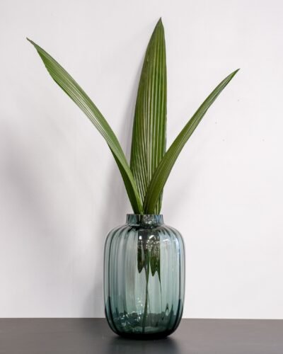 Palmgräs