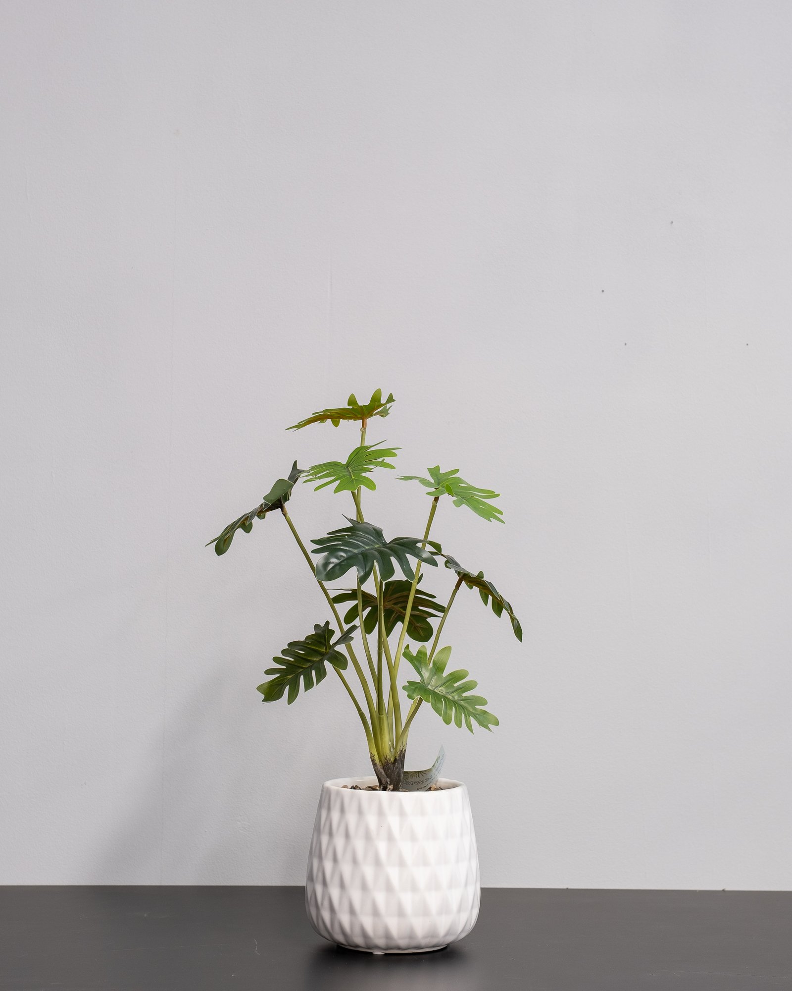 Konstgjord Filodendron krukväxt med keramik kruka - 53 cm Höjd 1 Konstgjord Filodendron krukväxt