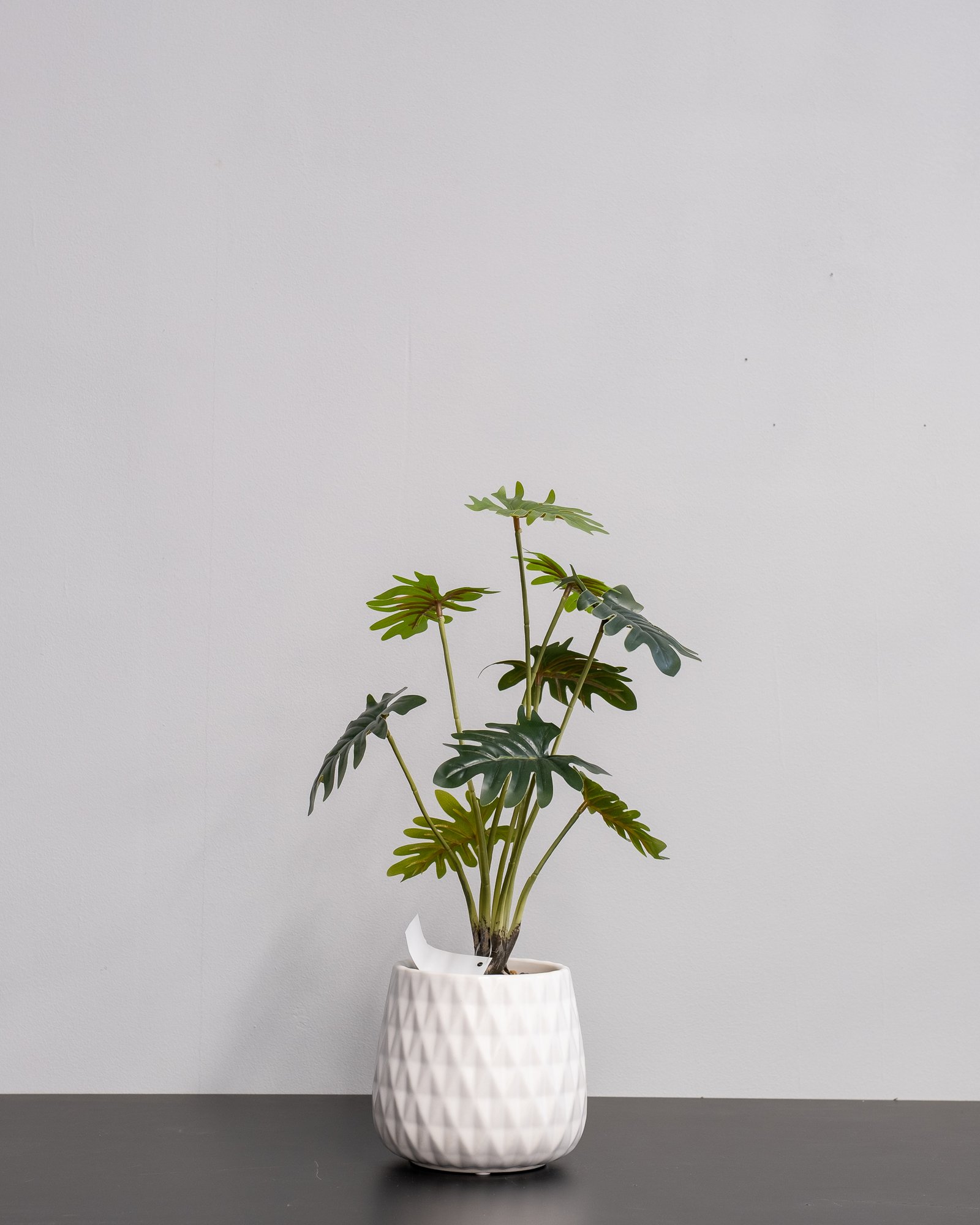 Konstgjord Filodendron krukväxt med keramik kruka - 53 cm Höjd 3 Konstgjord Filodendron krukväxt