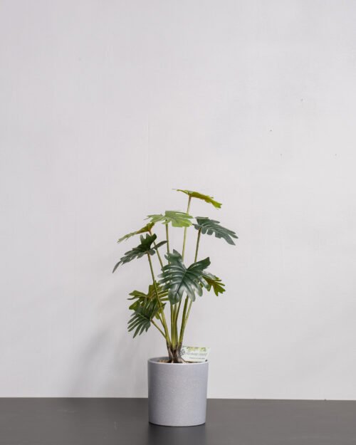 Konstgjord Filodendron krukväxt med Melamin kruka - 52 cm Höjd 5 Konstgjord Filodendron krukväxt