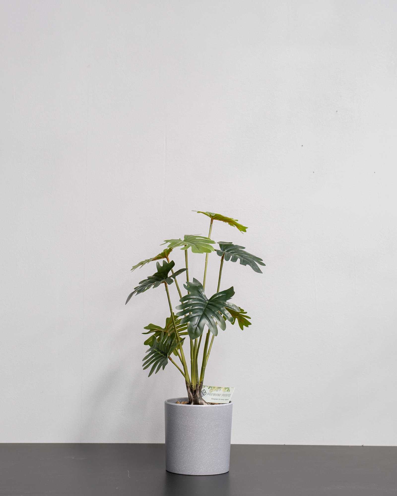 Konstgjord Filodendron krukväxt med Melamin kruka - 52 cm Höjd 3 Konstgjord Filodendron krukväxt