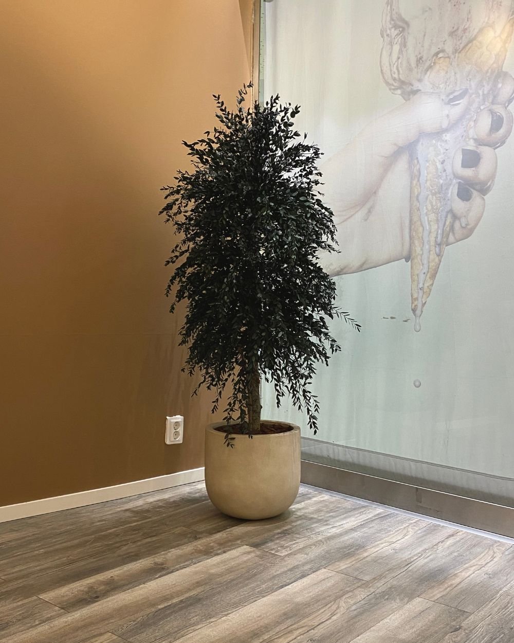 underhållsfria krukväxter livslängd