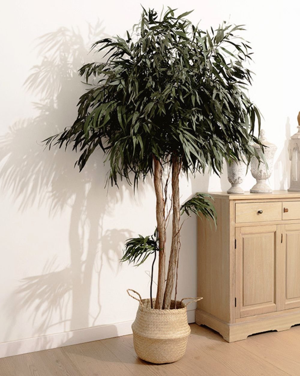 Konserverat Videsläktet Träd