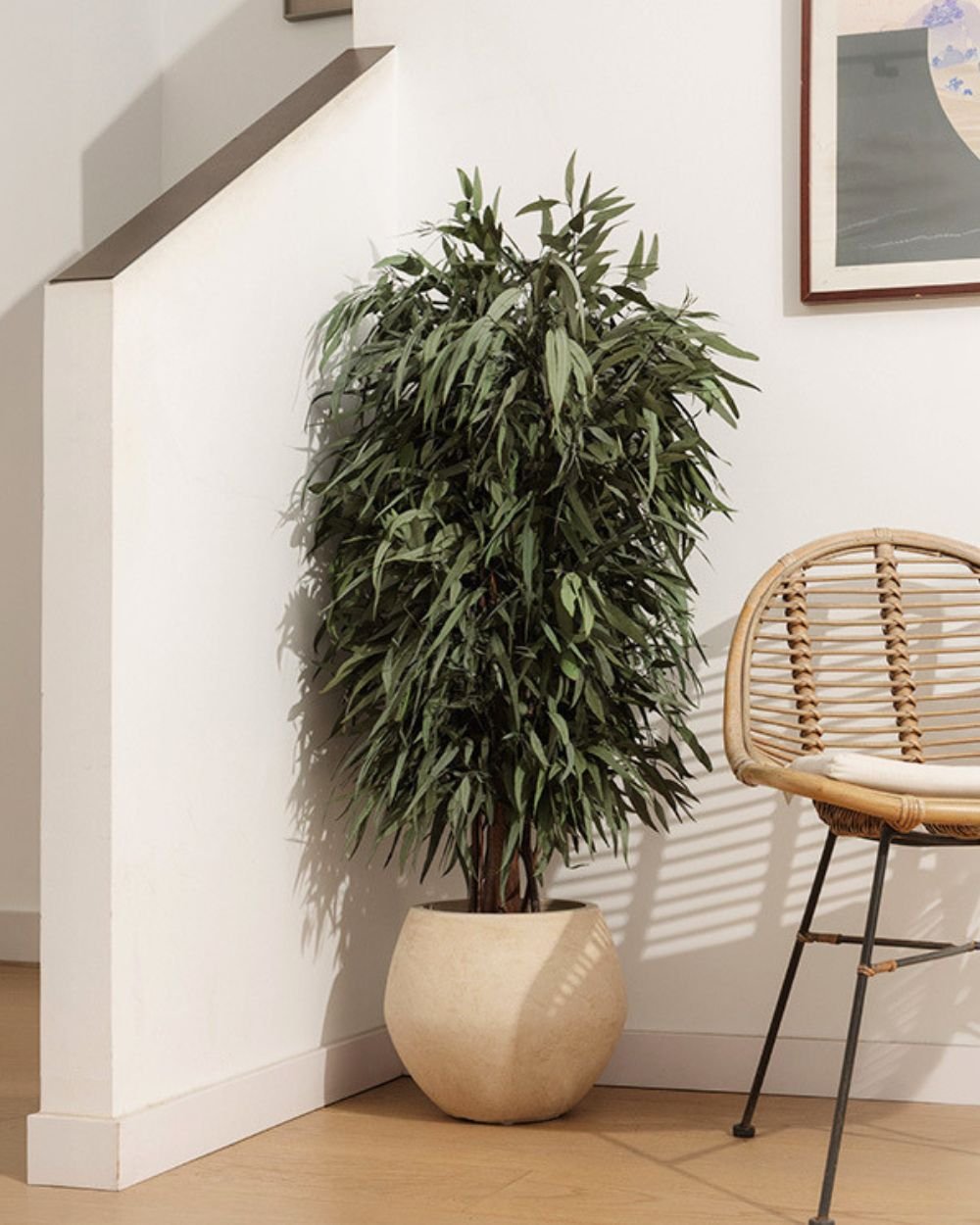 Konserverat pilträd Buskträd