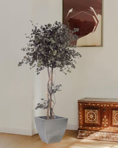Forever Flora